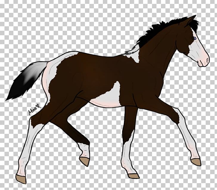 Foal Pony Mustang Stallion Drawing PNG, Clipart, Bridle, Colt, Drawing, English Riding, Equestrian Free PNG Download