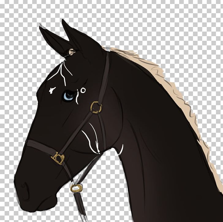 Mustang Bridle Stallion Rein Horse Harnesses PNG, Clipart, Bridle, Halter, Harness Racing, Horse, Horse Harness Free PNG Download