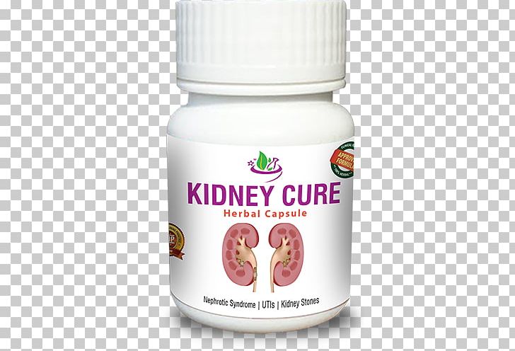 Ayurveda Medicine Kidney Failure Health PNG, Clipart, Ayurveda, Cure, Disease, Fruit, Health Free PNG Download