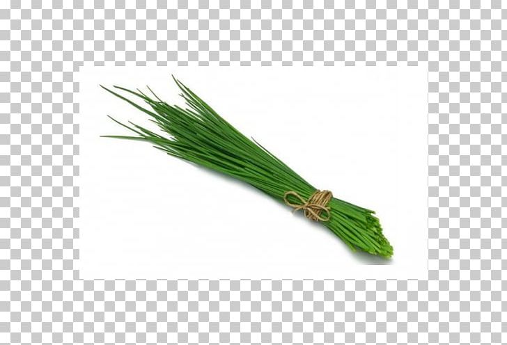 Chives Herb Onion Basil Scallion PNG, Clipart, Allium, Basil, Boursin Cheese, Chives, Coriander Free PNG Download