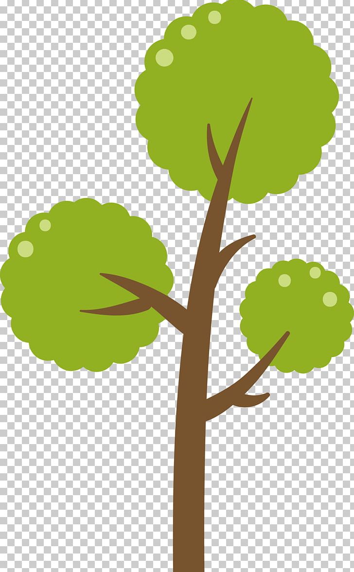 Green Tree Diagram PNG, Clipart, Botany, Branch, Christmas Tree, Diagram, Flora Free PNG Download