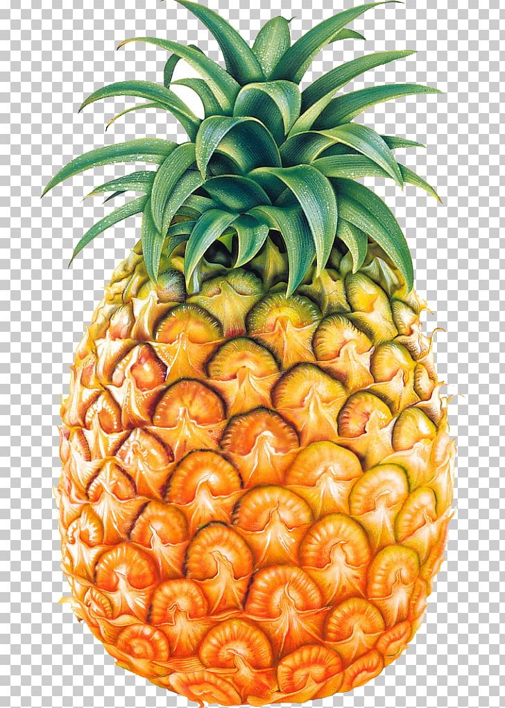 Pineapple PNG, Clipart, Ananas, Bromeliaceae, Computer Icons, Download, Encapsulated Postscript Free PNG Download