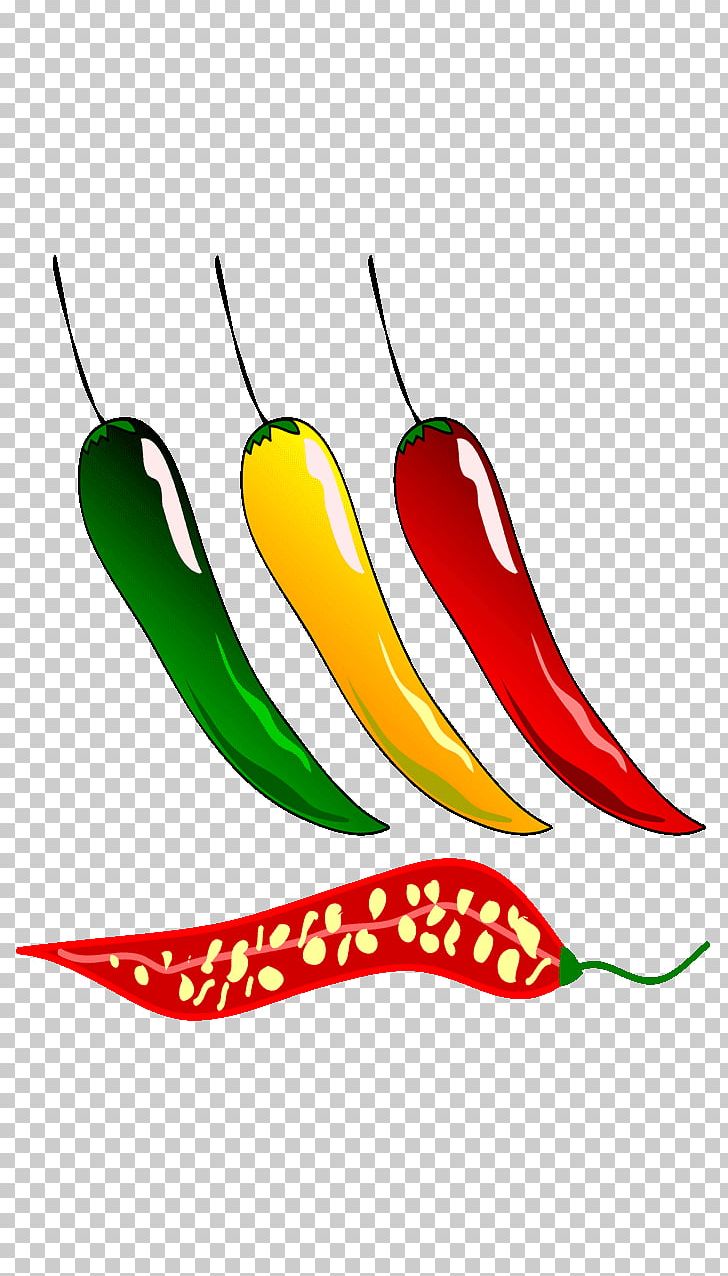Tabasco Pepper Bird's Eye Chili Serrano Pepper Cayenne Pepper PNG, Clipart,  Free PNG Download