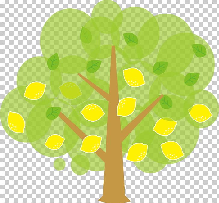 Tree Variegated Pink Lemon Free Content PNG, Clipart, Animation, Autumn, Branch, Circle, Drawing Free PNG Download