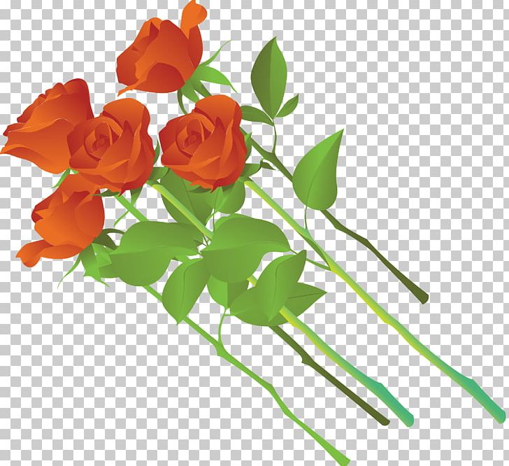 Beach Rose PNG, Clipart, Beach Rose, Branch, Computer Icons, Cut Flowers, Download Free PNG Download