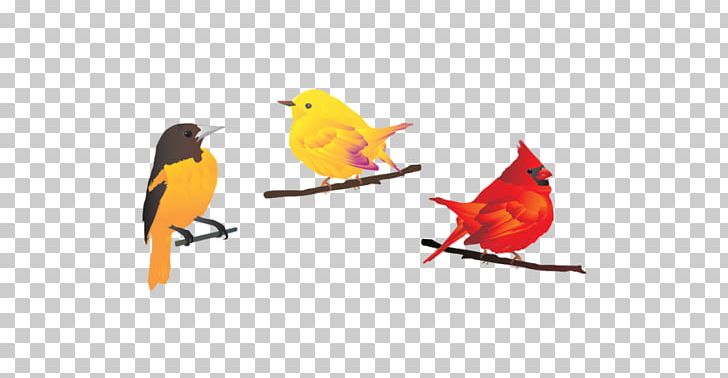 Bird Graphics Portable Network Graphics PNG, Clipart, American Robin, Animals, Beak, Bird, Computer Icons Free PNG Download