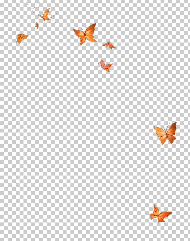 Butterfly Template Icon PNG, Clipart, Angle, Area, Butterflies, Butterfly Group, Butterfly Wings Free PNG Download