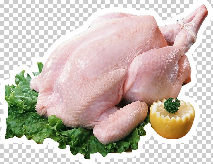 Chicken Turkey Meat Barbecue Turkey Meat PNG, Clipart, Animals, Animal Source Foods, Chicken, Chicken Meat, Chicken Nuggets Free PNG Download