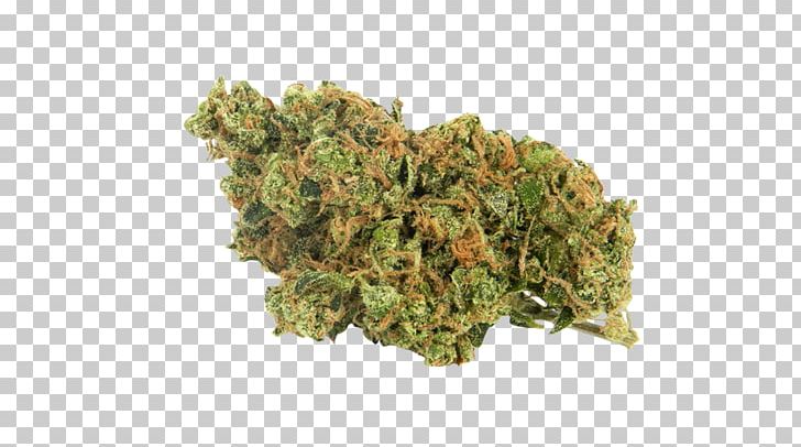 Sour Diesel Kush Cannabis Northern Lights Leafly PNG, Clipart, Cannabidiol, Cannabis, Cannabis Sativa, Euphoria, Haze Free PNG Download
