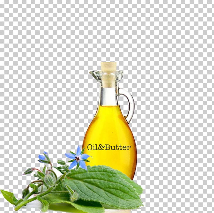Soybean Oil Borage Seed Oil Herb Gamma-Linolenic Acid PNG, Clipart, Body Oil, Borage, Borage Seed Oil, Bottle, Butter Free PNG Download