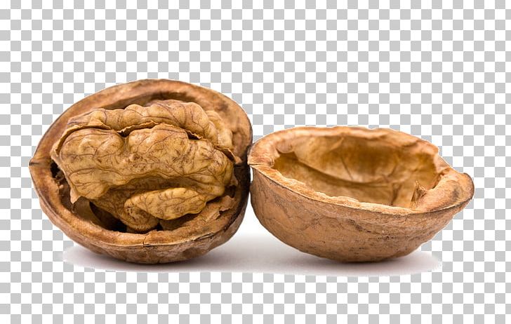 Walnut Tree Dried Fruit PNG, Clipart, Bowl, Company, Dried Fruit, Food, Fruit Free PNG Download