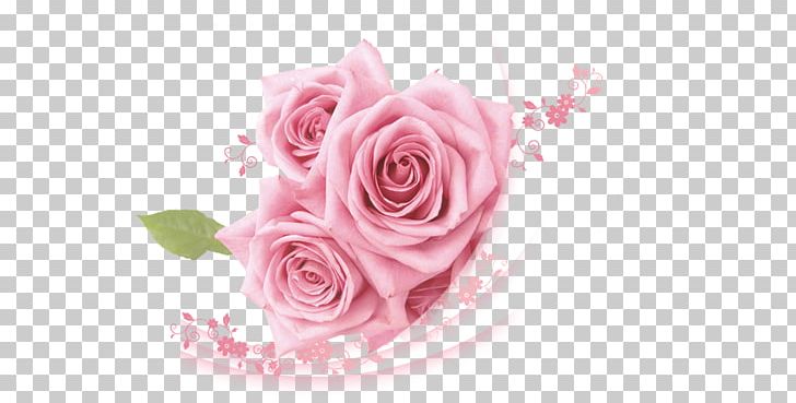 Beach Rose Pink PNG, Clipart, Color, Cut Flowers, Download, Encapsulated Postscript, Floral Design Free PNG Download
