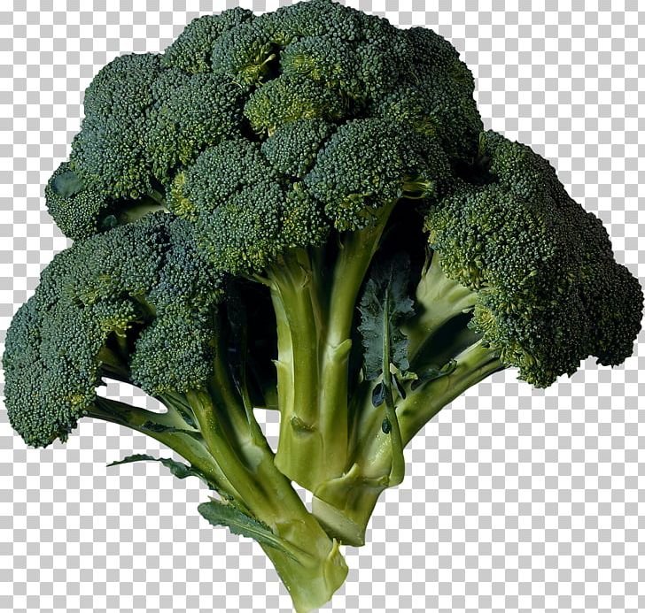 Broccoli PNG, Clipart, Broccoli Free PNG Download