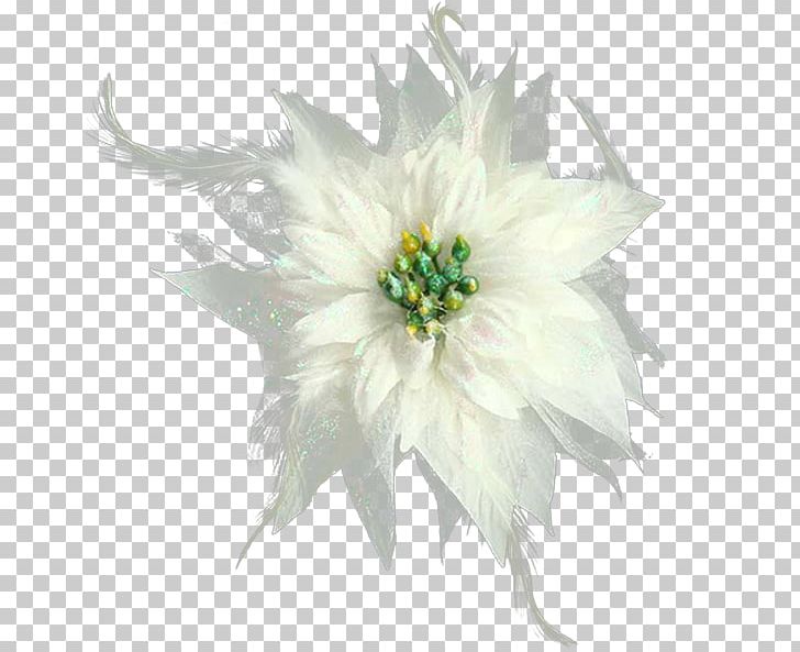 Marriage Flower PNG, Clipart, Chrysanthemum, Chrysanths, Computer Icons, Cut Flowers, Encapsulated Postscript Free PNG Download