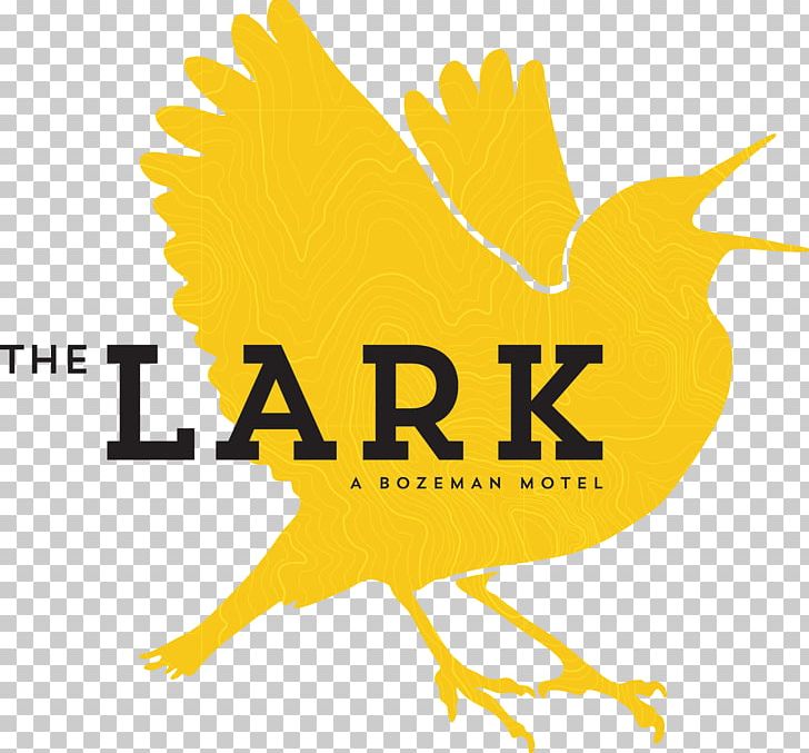 The LARK MERCURYcsc Big Boys Toys Truly Hotel PNG, Clipart, Area, Art, Beak, Big Boys Toys, Bird Free PNG Download