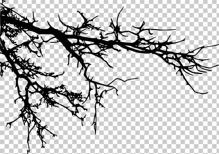 Branch Tree Silhouette PNG, Clipart, Art, Artwork, Black And White, Branch, Flora Free PNG Download