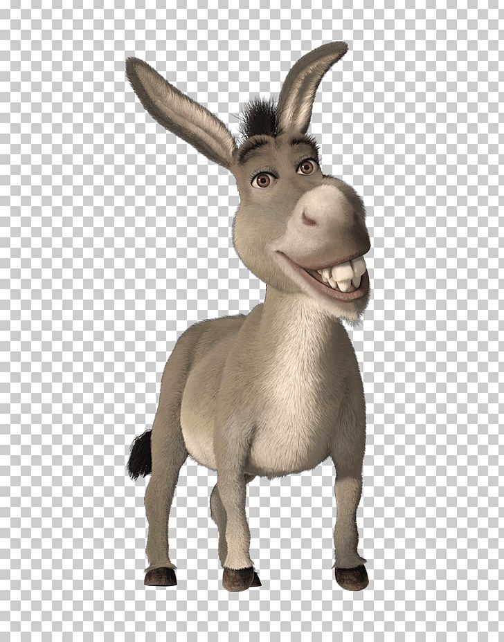 Download Download - Shrek And Donkey Png PNG Image with No Background 