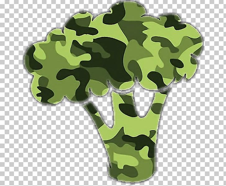 TeamBrocoli Desktop Camouflage PNG, Clipart, Adhesive, Brocoli, Camouflage, Computer, Desktop Wallpaper Free PNG Download