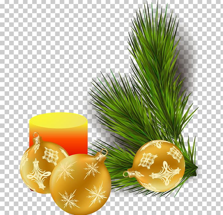 Christmas Tree Branch PNG, Clipart, Balls Vector, Bolas, Branch, Branch, Christmas Frame Free PNG Download