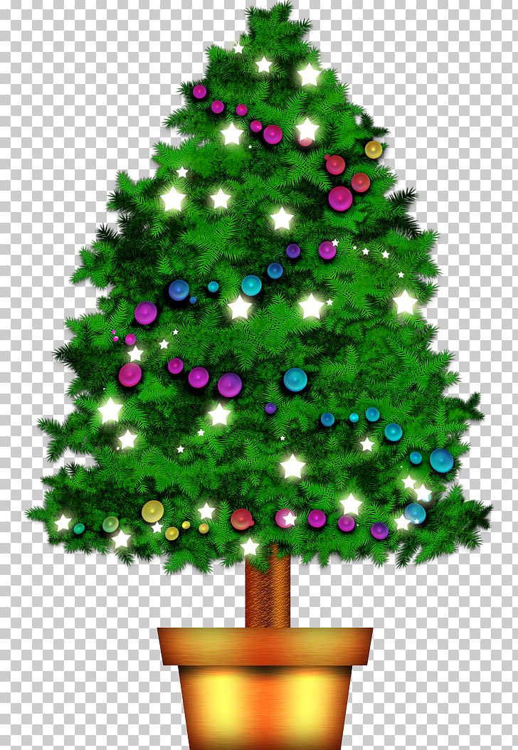 Christmas Tree Pine Fir PNG, Clipart, Branch, Brown, Christmas, Christmas Decoration, Christmas Ornament Free PNG Download