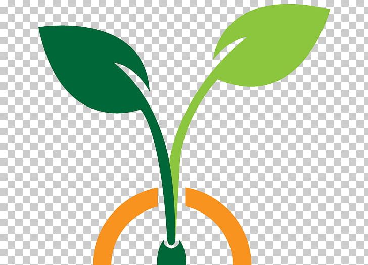 Leaf Plant Stem Line PNG, Clipart, Grass, Green, Lanscape, Leaf, Line Free PNG Download