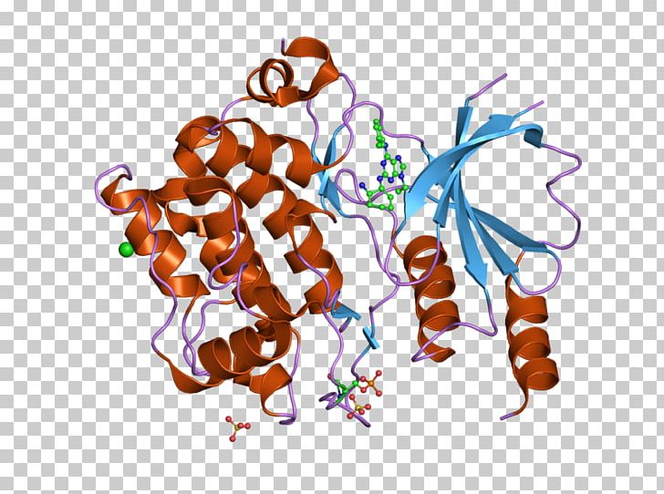 PIM1 PAK4 Kinase PAK1 Gene PNG, Clipart, Activate, Art, Complex, Ebi, Enzyme Free PNG Download