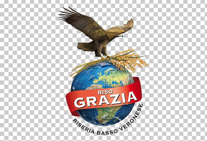 Riseria Del Basso Veronese Grazia Rice Vialone Nano Logo Brand PNG, Clipart, Advertising, Azienda, Brand, Culture, Fidelity Free PNG Download