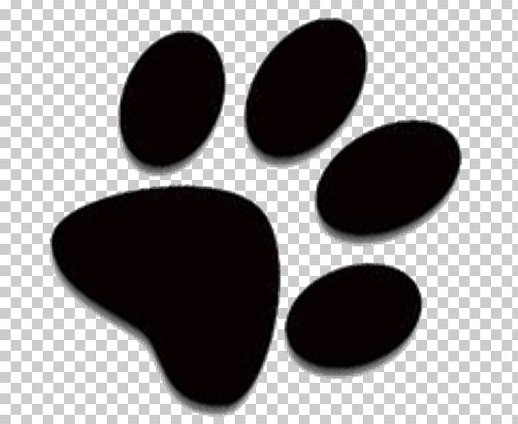 Siberian Husky Paw Puppy PNG, Clipart, Clip Art, Paw, Puppy, Siberian Husky Free PNG Download