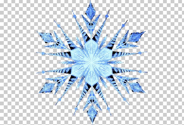 Snowflake Symmetry Line Point Pattern PNG, Clipart, Blue, Indian Prairie School District 204, Line, Nature, Point Free PNG Download