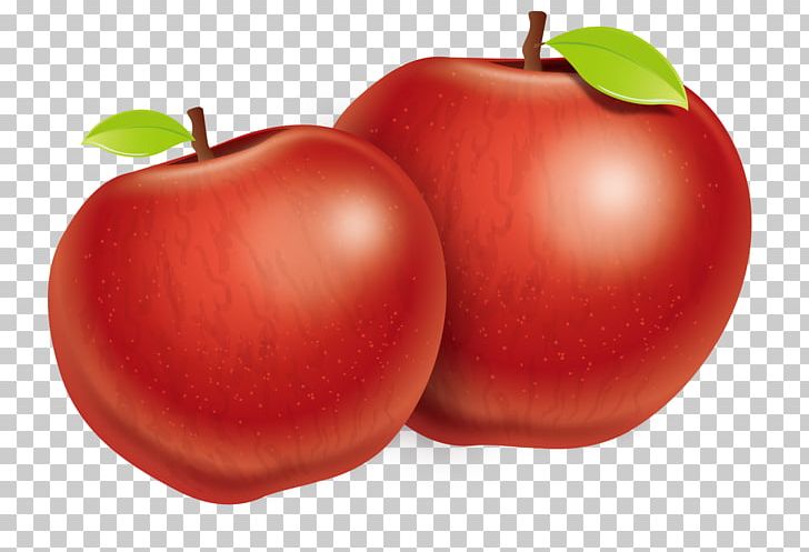 Plum Tomato Apple Fuji PNG, Clipart, Accessory Fruit, Acerola, Apple Fruit, Apple Logo, Apple Tree Free PNG Download