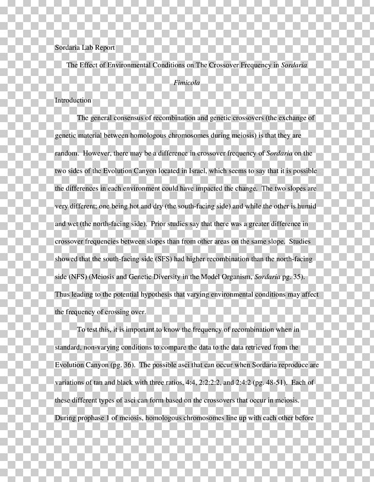 Document Line Angle Essay PNG, Clipart, Angle, Area, Art, Diagram, Document Free PNG Download