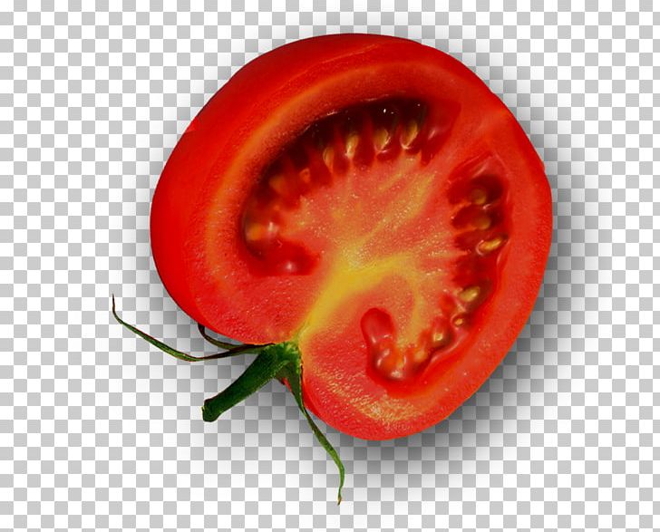 Plum Tomato Bush Tomato French Fries Tomato Sauce PNG, Clipart, Beef, Black Pepper, Bush Tomato, Cherry Tomato, Dining Free PNG Download