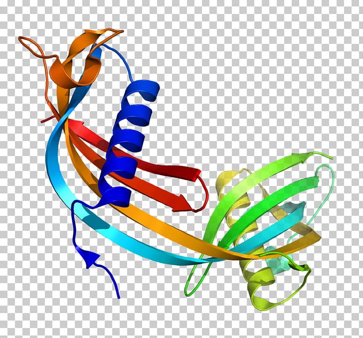 Cystatin C Immunology Renal Function Reagent Creatinine PNG, Clipart, Artwork, Chronic Kidney Disease, Creatinine, Cystatin, Cystatin C Free PNG Download