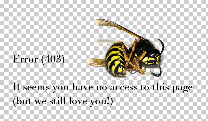 Honey Bee Wasp Insect European Hornet PNG, Clipart, Access Denied, Arthropod, Bee, Brand, European Hornet Free PNG Download