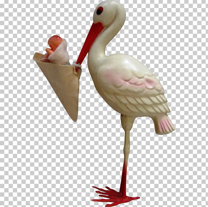 White Stork Water Bird Beak Ibis PNG, Clipart, Animals, Backroom, Beak, Bird, Carry Free PNG Download