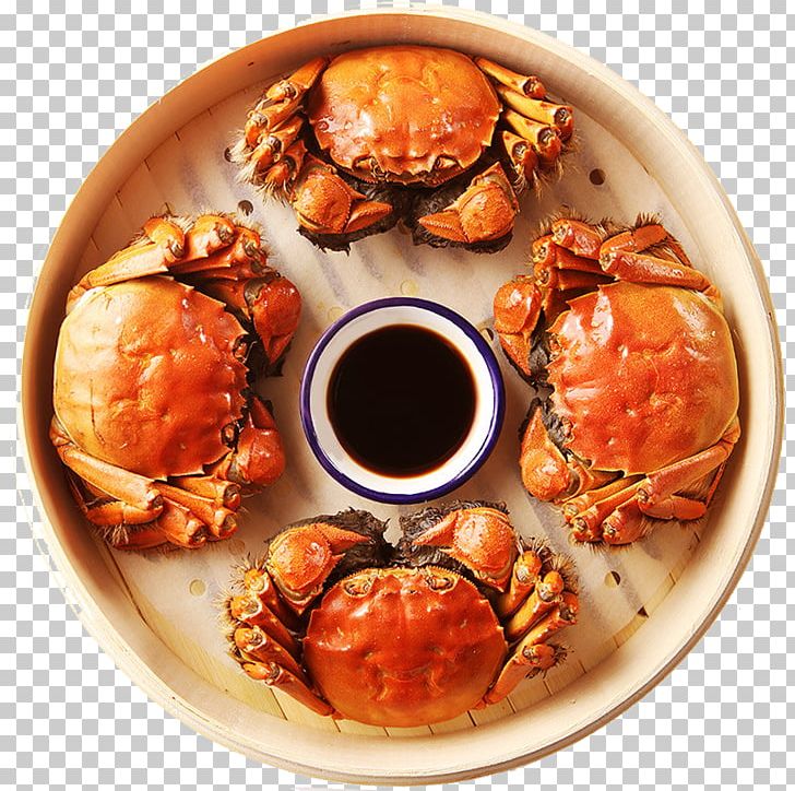 Yangcheng Lake Large Crab Chinese Mitten Crab Seafood PNG, Clipart, Animal Source Foods, Aquaculture, Banner, Cartoon Crab, Chinese Mitten Crab Free PNG Download