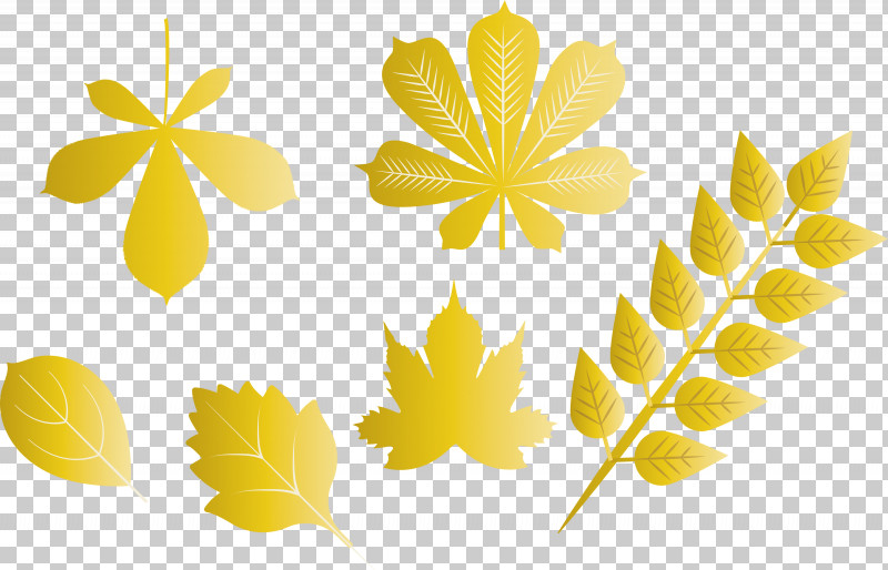 Autumn Leaf Autumn Color PNG, Clipart, Autumn Color, Autumn Leaf, Symmetry, Yellow Free PNG Download