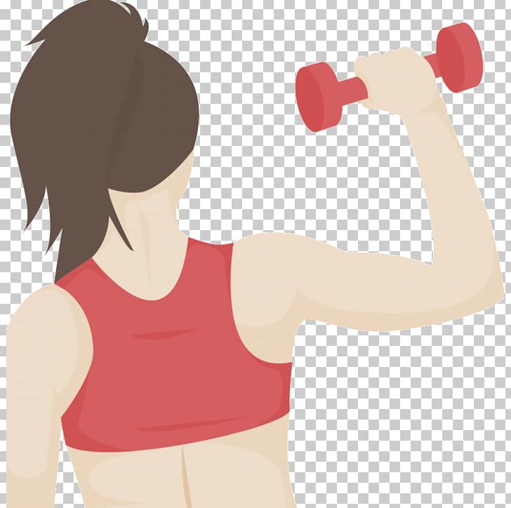 Aerobic Exercise Weight Training Physical Fitness Fitness Centre PNG, Clipart, Abdomen, Active Undergarment, Arm, Exercise, Fitness Centre Free PNG Download