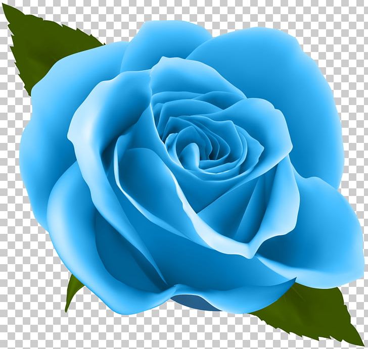 Rose Pink Flower PNG, Clipart, Azure, Blue, Blue Rose, Clipart, Computer Wallpaper Free PNG Download