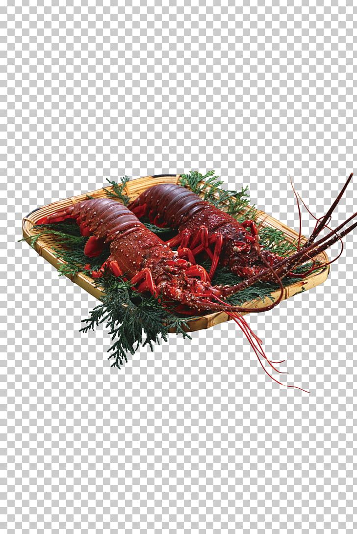 Xuyi County Lobster Chinese Cuisine Seafood PNG, Clipart, Animals, Barbecue, Chinese Cuisine, Delicious, Delicious Food Free PNG Download