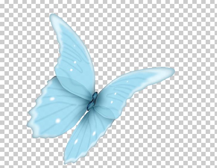 Butterfly Blue Wing Shoelace Knot PNG, Clipart, Aqua, Azure, Bat, Beautiful, Blue Free PNG Download