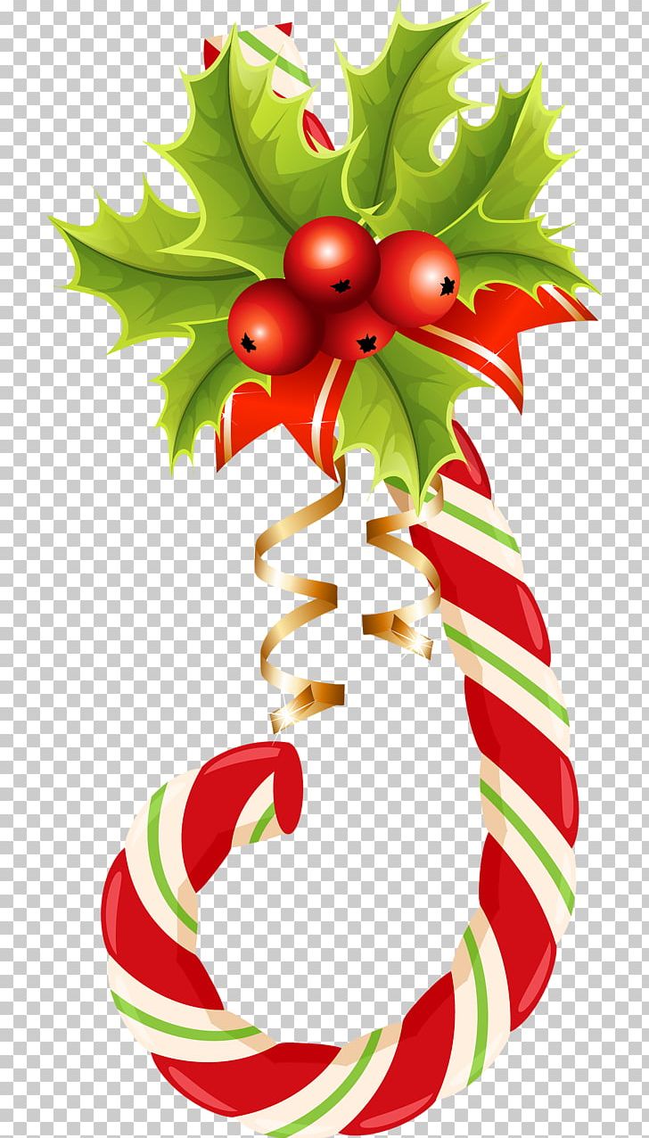 Christmas Decoration PNG, Clipart, Aquifoliaceae, Art, Branch, Christmas, Christmas Card Free PNG Download