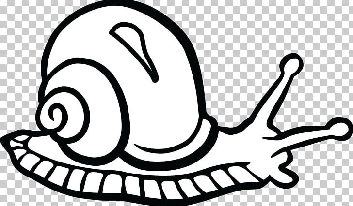 Gastropods Snail Black And White PNG, Clipart, Animals, Area, Art, Black And White, Clip Art Free PNG Download