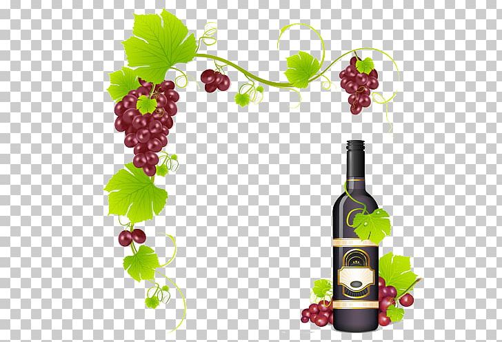 Red Wine Common Grape Vine PNG, Clipart, Bottle, Drinkware, Euclidean Vector, Flowering Plant, Food Free PNG Download