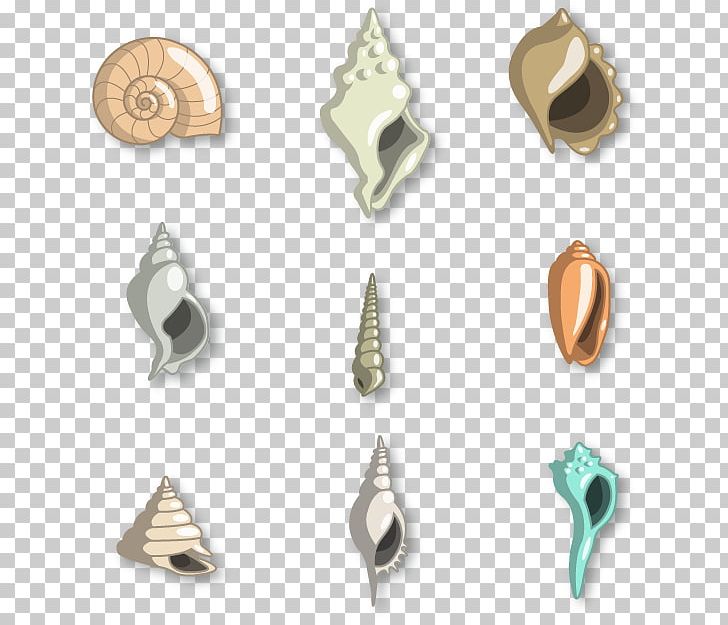 Seashells Resort At Suncrest Euclidean Molluscs PNG, Clipart, Body Jewelry, Brass, Chart, Color, Color Pencil Free PNG Download