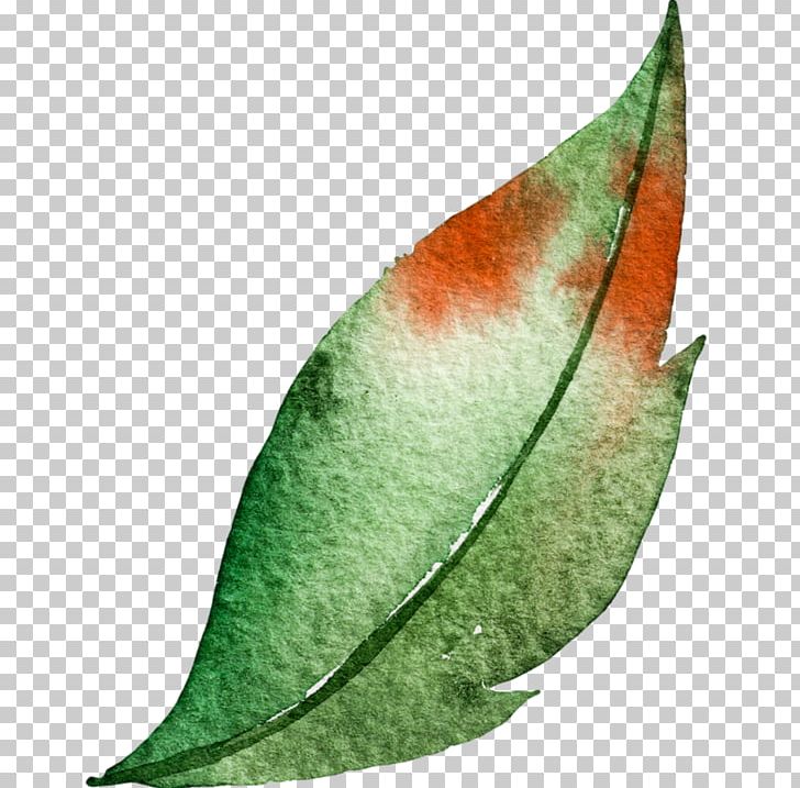 Watercolor Painting Leaf Green PNG, Clipart, Color, Download, Feuille, Green, Ink Free PNG Download