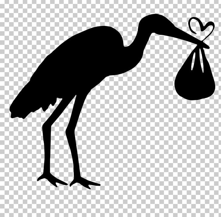 White Stork Bird Black Stork PNG, Clipart, Animal, Animals, Artwork, Beak, Bird Free PNG Download