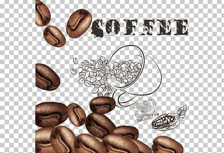 Arabic Coffee Cafe Coffee Bean PNG, Clipart, Arabic Coffee, Beans, Cafe, Caffeine, Caryopsis Free PNG Download