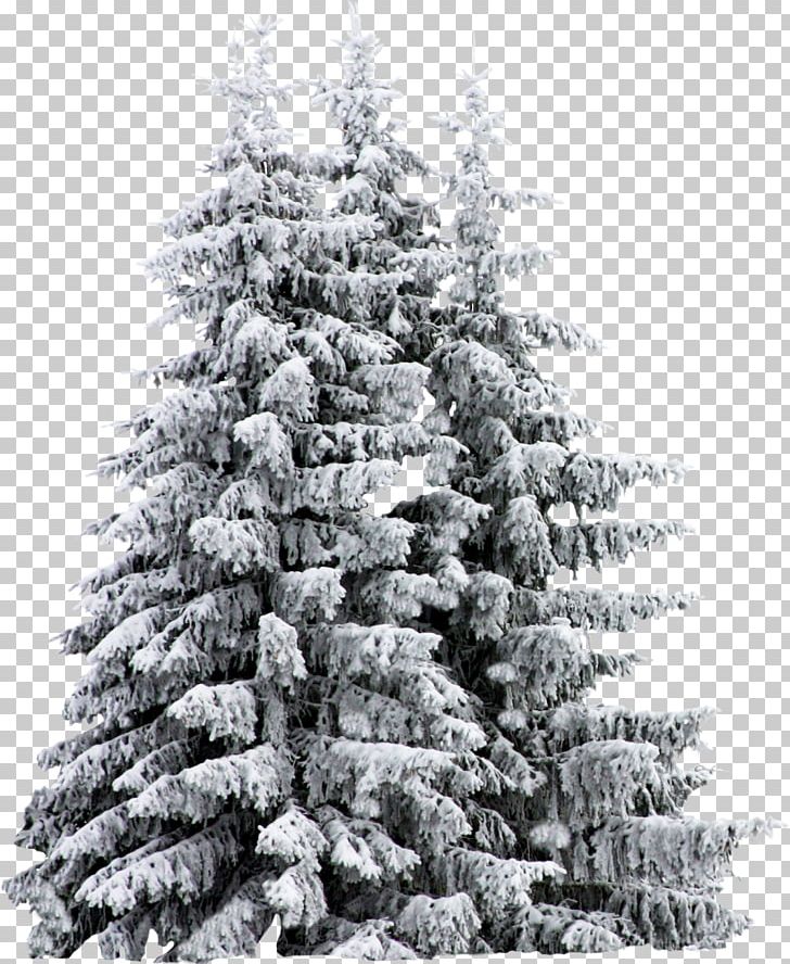 Artificial Christmas Tree Snow PNG, Clipart, Artificial Christmas Tree, Black And White, Christmas, Christmas Decoration, Christmas Ornament Free PNG Download