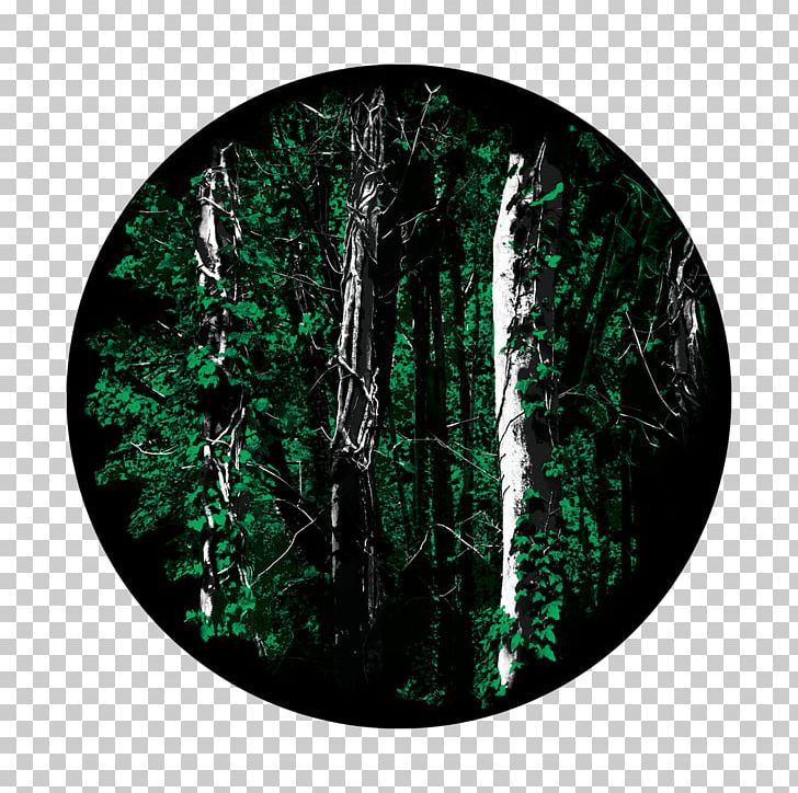 Forest Glass Gobo Tree PNG, Clipart, Forest, Glass, Gobo, Nature, Projection Equipment Free PNG Download